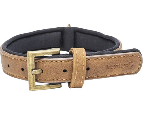 Hundehalsband aus Leder mit Metallschnalle