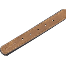 Braunes Lederhalsband für Hunde mit Löchern