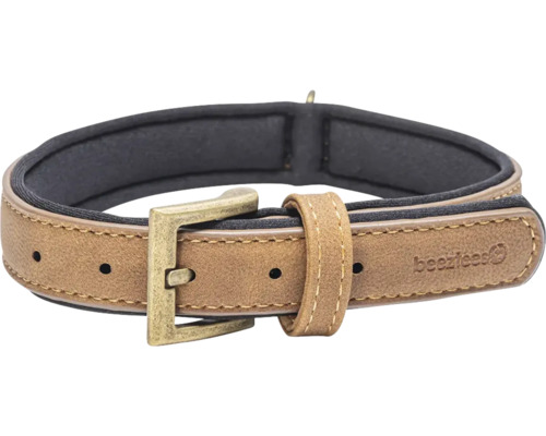 Hundehalsband mit Schnalle und weicher Polsterung