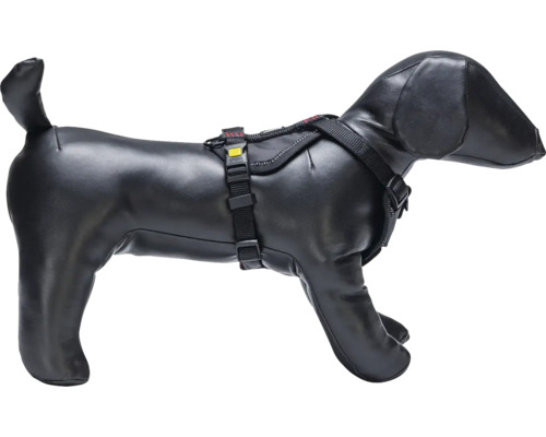 Hundegeschirr am Hunde-Dummy