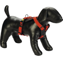 Hundepuppe mit Hundegeschirr
