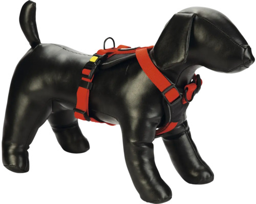 Hundepuppe mit rotem Hundegeschirr