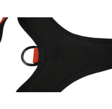 Detailansicht eines schwarzen Klettergurts mit D-Ring