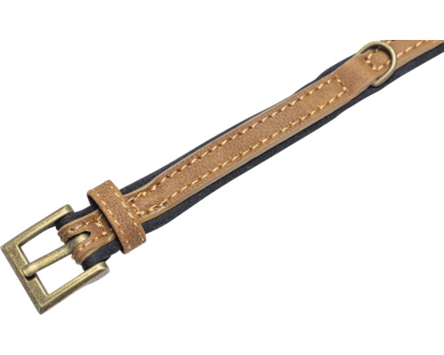 Hundehalsband aus Leder mit Metallschnalle