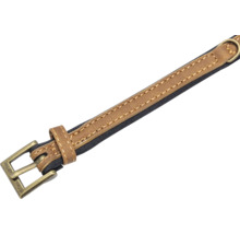 Hundehalsband aus Leder mit Metallschnalle