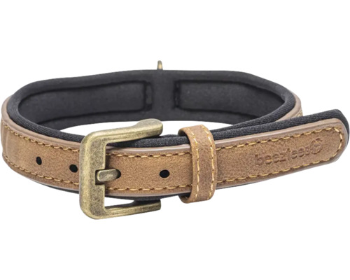 Hundehalsband mit Schnalle