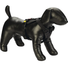 Hundeharnisch am Hundemodell
