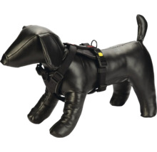 Hundegeschirr auf einer Hundepuppe