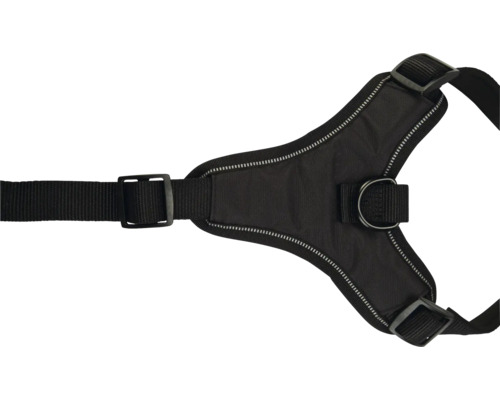 Schwarzes Hundegeschirr mit D-Ring und verstellbaren Riemen.