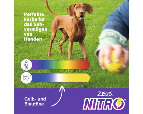 Illustration zur Farbwahrnehmung von Hunden mit Zeus Nitro Logo