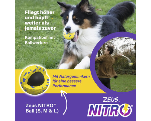 Zeus Nitro Ball im Einsatz mit Hund und Ballschleuder