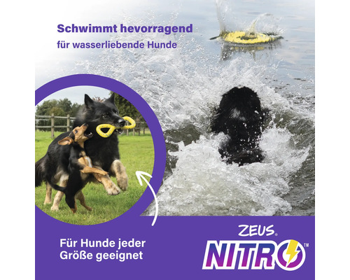 Zwei Hunde spielen mit einem gelben Hundespielzeug im Wasser. Zeus Nitro Logo.