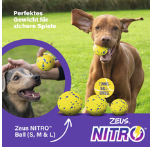 Hundespielzeug Zeus Nitro Ball in verschiedenen Größen und ein Hund