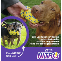 Hund spielt mit Zeus Nitro Grip Ball im Freien.