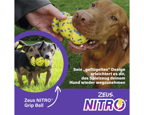 Hund spielt mit Zeus Nitro Grip Ball im Freien.