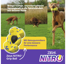 Zeus Nitro Grip Ball für Hunde im Einsatz auf einer Wiese
