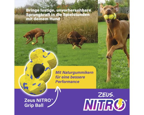 Zeus Nitro Grip Ball für Hunde im Einsatz auf einer Wiese