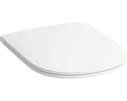 Toilettendeckel