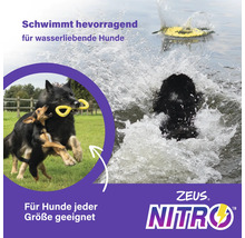 Hunde spielen mit Zeus Nitro Hundespielzeug im Wasser und auf einer Wiese