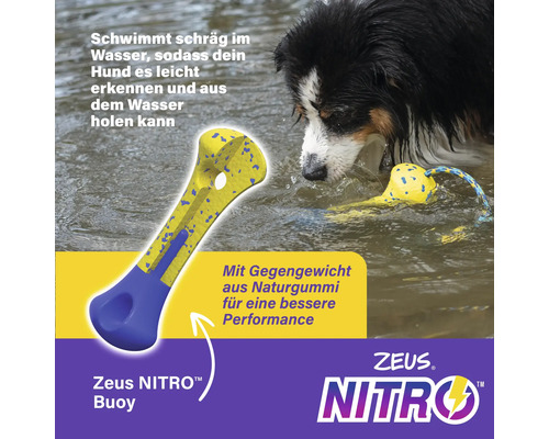 Zeus Nitro Buoy Hundespielzeug im Wasser mit Hund