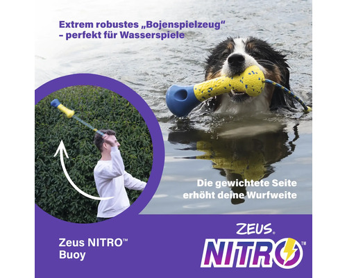 Hund mit Zeus Nitro Boje im Wasser beim Apportieren