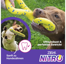 Hund mit robustem Hundespielzeug