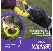 Zwei Hunde spielen mit einem gelben Zeus Nitro Ring.
