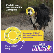 Hund mit Zeus Nitro Ring