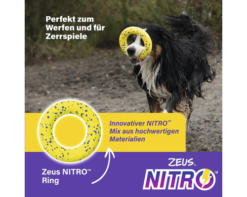 Hund mit Zeus Nitro Ring