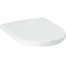 Toilettendeckel