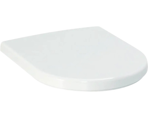 Toilettendeckel