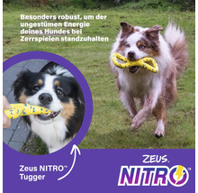 Ein Hund spielt mit einem Zeus Nitro Tugger Spielzeug auf einer Wiese.