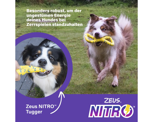 Ein Hund spielt mit einem Zeus Nitro Tugger Spielzeug auf einer Wiese.