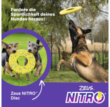 Hundespielzeug: Hunde spielen mit einer gelben Zeus Nitro Disc.