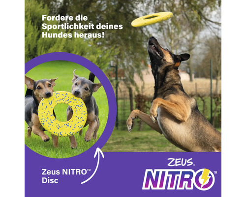 Hundespielzeug: Hunde spielen mit einer gelben Zeus Nitro Disc.