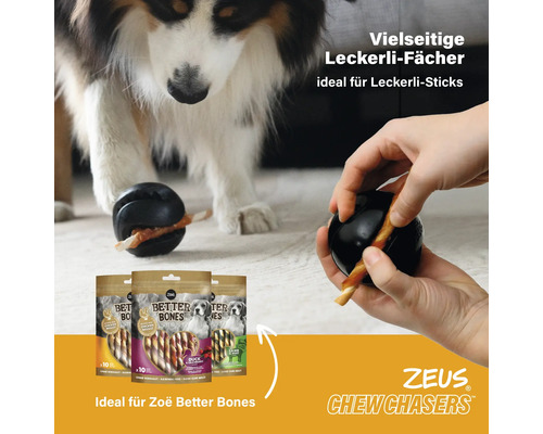 Hundespielzeug mit Snacks und Hund im Hintergrund