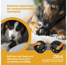 Hunde spielen mit einem schwarzen interaktiven Ball von Zeus Chew Chasers