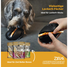 Hund mit schwarzem Futterspielzeug und Packungen mit Hundesnacks