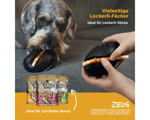 Hund mit schwarzem Futterspielzeug und Packungen mit Hundesnacks