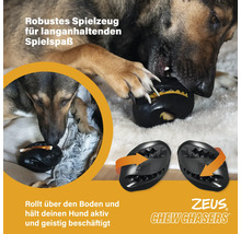 Hund spielt mit schwarzem Zeus Chew Chasers Spielzeug