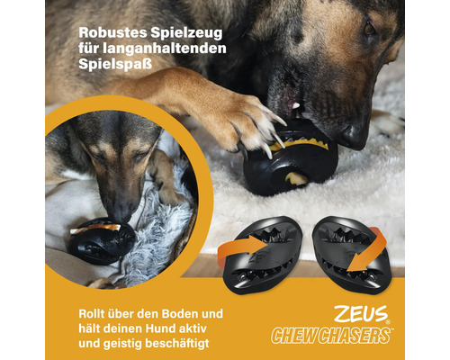 Hund spielt mit schwarzem Zeus Chew Chasers Spielzeug