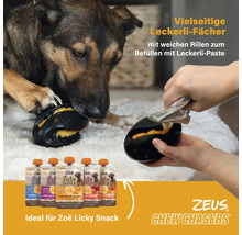 Hundespielzeug zum Befüllen mit Hundeleckerli, im Einsatz mit Hund und Hundehalter sowie Packungen von Hunde-Snacks