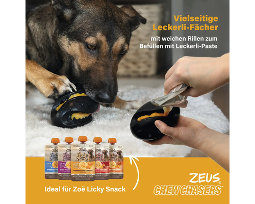 Hundespielzeug zum Befüllen mit Hundeleckerli, im Einsatz mit Hund und Hundehalter sowie Packungen von Hunde-Snacks