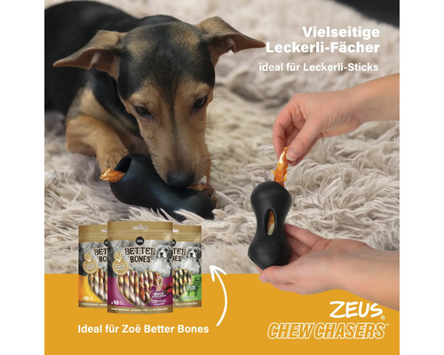 Hund mit schwarzem Futterspielzeug und Packungen mit Hundesnacks