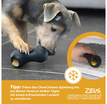 Hund mit schwarzem Zeus Chew Chasers Spielzeug mit Leckerli