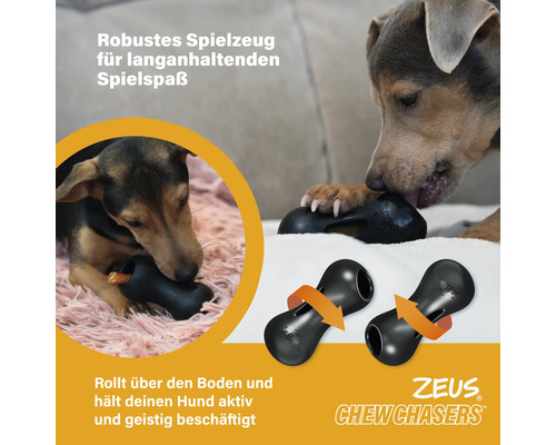 Zwei Hunde spielen mit dem schwarzen Zeus Chew Chasers Hundespielzeug.