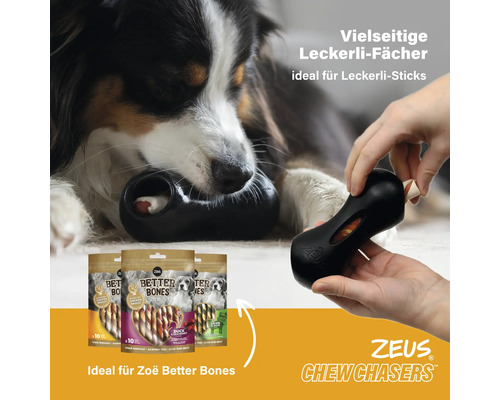 Hundespielzeug mit Leckerli und Hundesnacks