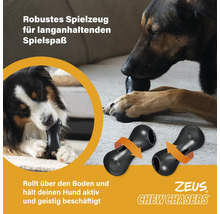 Zwei Hunde spielen mit einem schwarzen Zeus Chew Chasers Hundespielzeug aus robustem Material