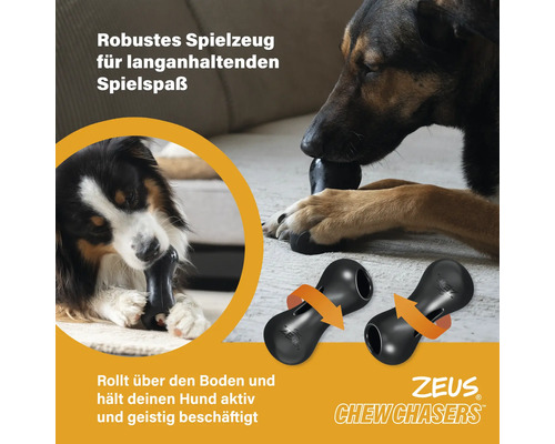 Zwei Hunde spielen mit einem schwarzen Zeus Chew Chasers Hundespielzeug aus robustem Material