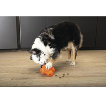 Ein Hund spielt mit einem interaktiven Futterspielzeug.